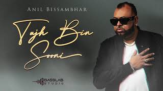 Anil Bissambhar | Tujh Bin Sooni |  2024 Resimi