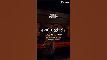 سورة التوبة🤍____🤍 #القرآن_الكريم #اكسبلور #المصحف #راحة_نفسية