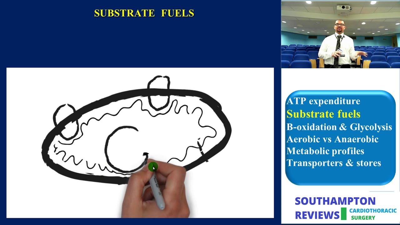 Cardiac biochemistry