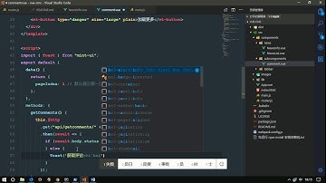 vue js 入门与实战 十一天课程day8 17 项目 加载首页评论内容
