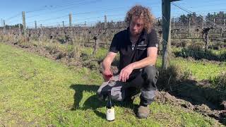 Terrace Edge 2019 Syrah