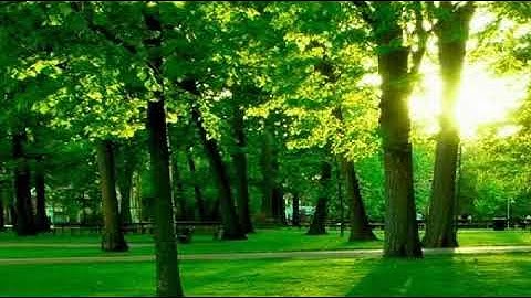 تلاوة خاشعة جدا وهادئة سورة الدخان