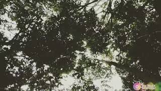 Romantis Gunung Gede pangrango 👣