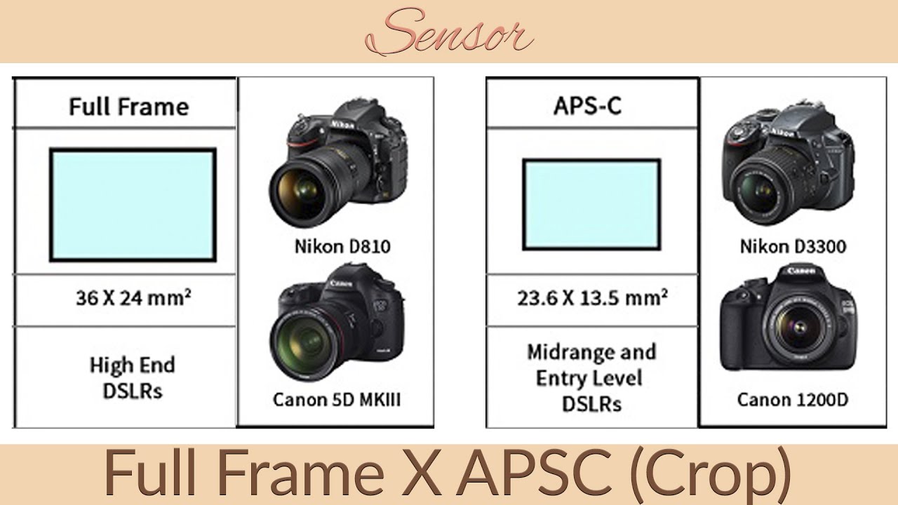 full frame camera meaning