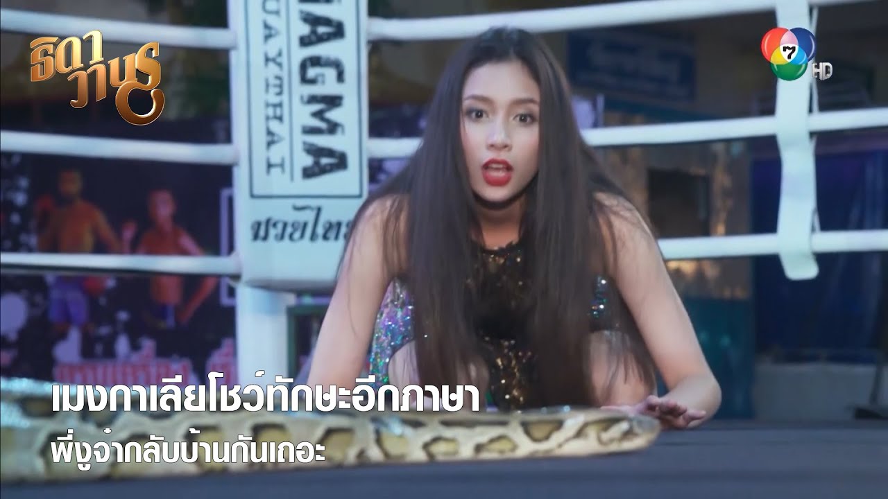 เมงกาเลียโชว์ทักษะอีกภาษา พี่งูจ๋ากลับบ้านกันเถอะ | ตอกย้ำความสนุก ธิดาวานร EP.19 | Ch7HD