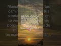 Muéstrame oh señor tus caminos.🙏🫶 #diosesamor #diosesmicasa #palabradios #amor #reflexionesdeldia
