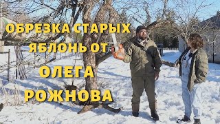 Обрезка старых яблонь от Олега Рожнова