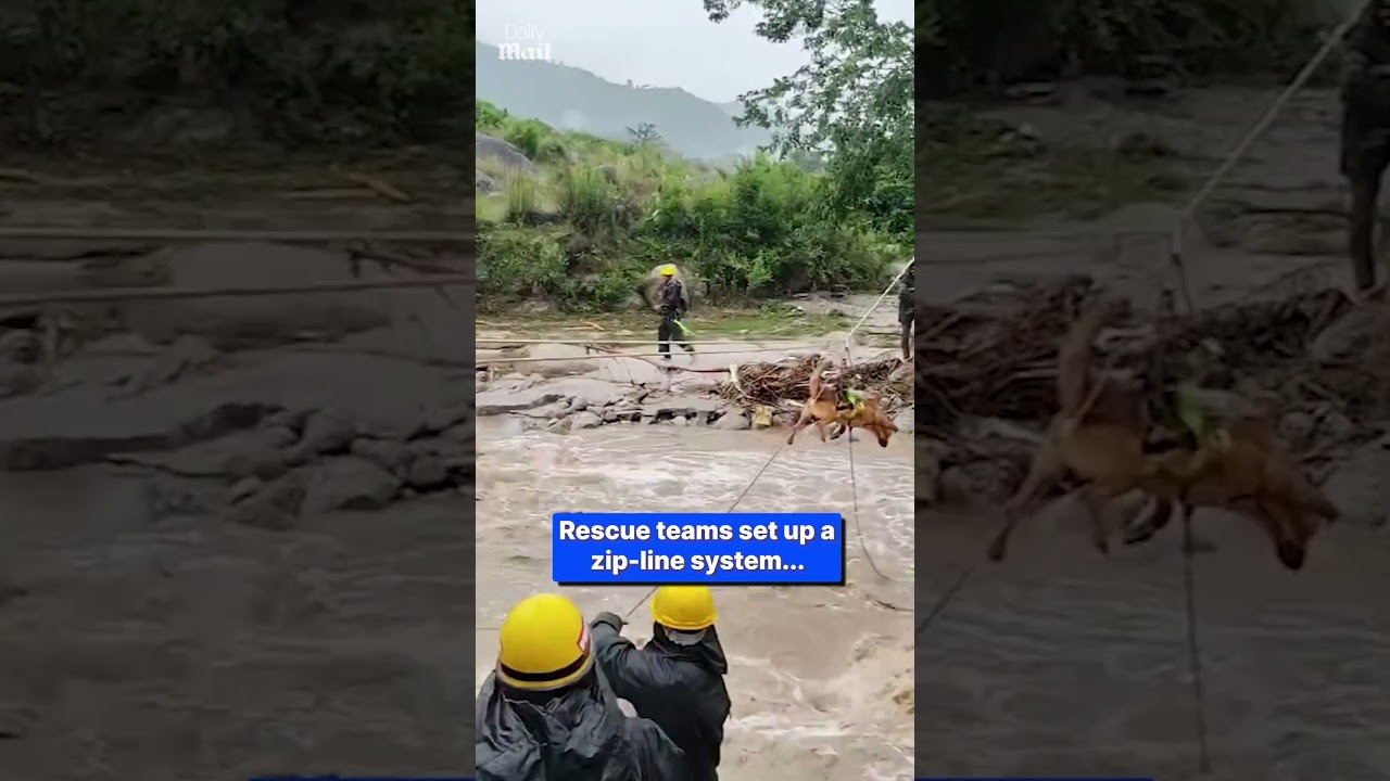 Owner and dog trapped in raging flood rescued by zip line