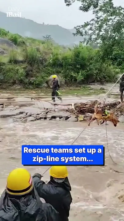 Owner and dog trapped in raging flood rescued by zip line