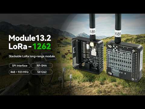 New Arrivals: Module13.2 LoRa-1262