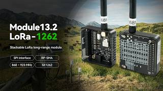 New Arrivals:  Module13.2 LoRa-1262