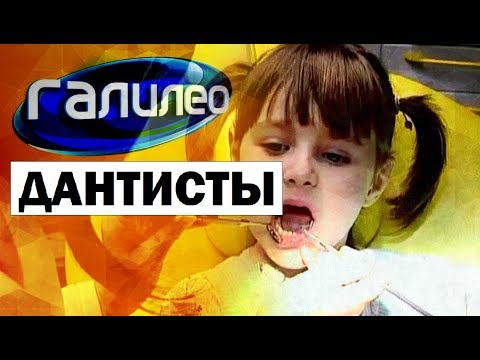 Галилео. Дантисты 💺👄👩‍⚕️ Dentists