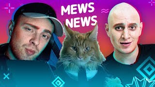 Mews News | Крид-стример, Satyr, международный день кошек