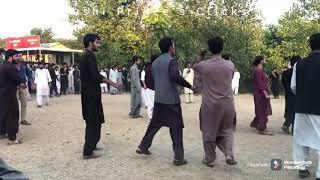 Download Lagu Pushtun Attan, Nary Baran de pas pa alwary waravey at Quaid-i-Azam University Islamabad. 26-10-2020 MP3