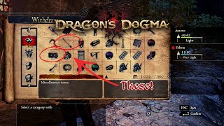 Dragon's dogma Items you didn't know you wanted.