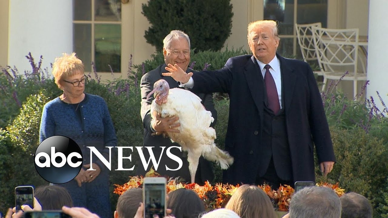 Trump pardons National Thanksgiving Turkey