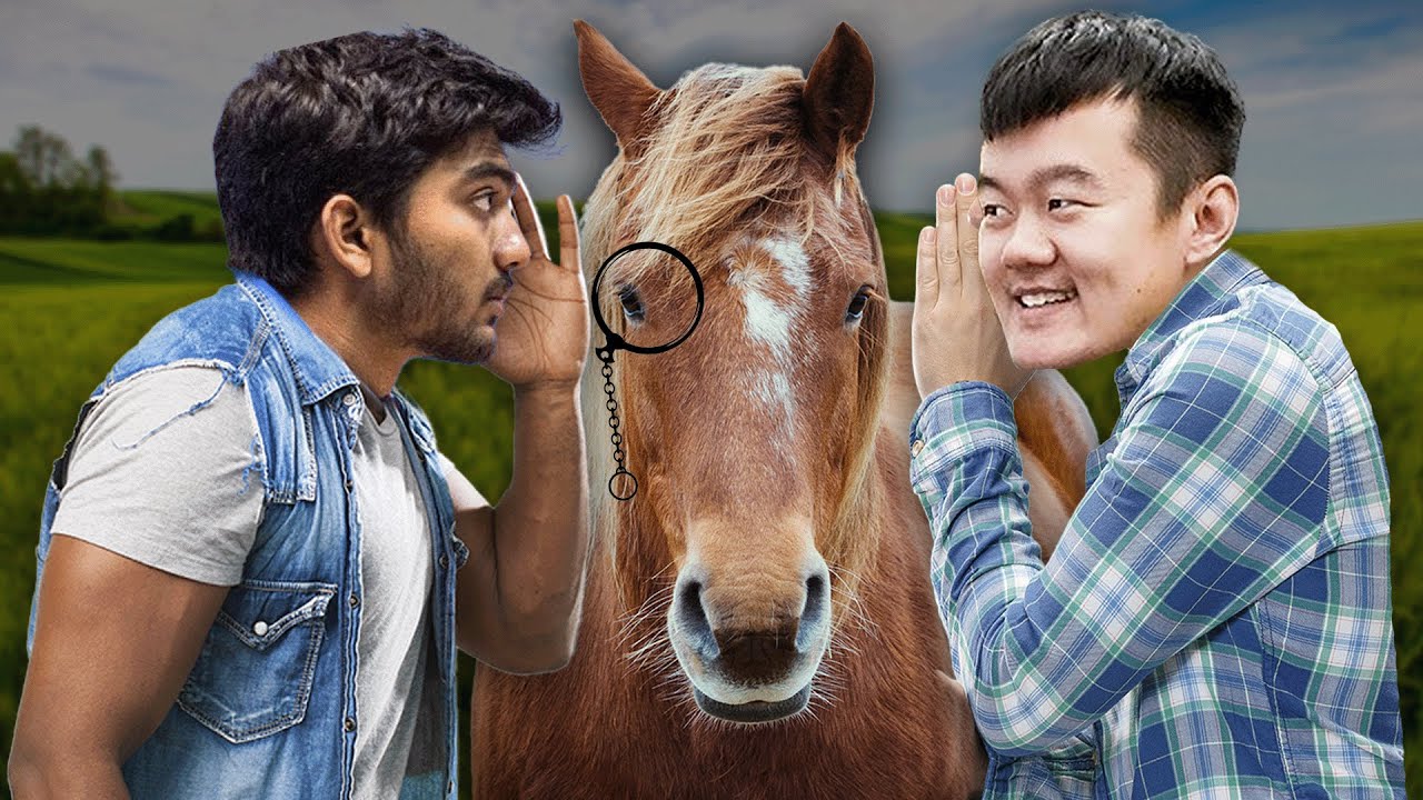 El HOMBRE que SUSURRABA a los POTRÓCULOS: CAMPEONATO del MUNDO de AJEDREZ