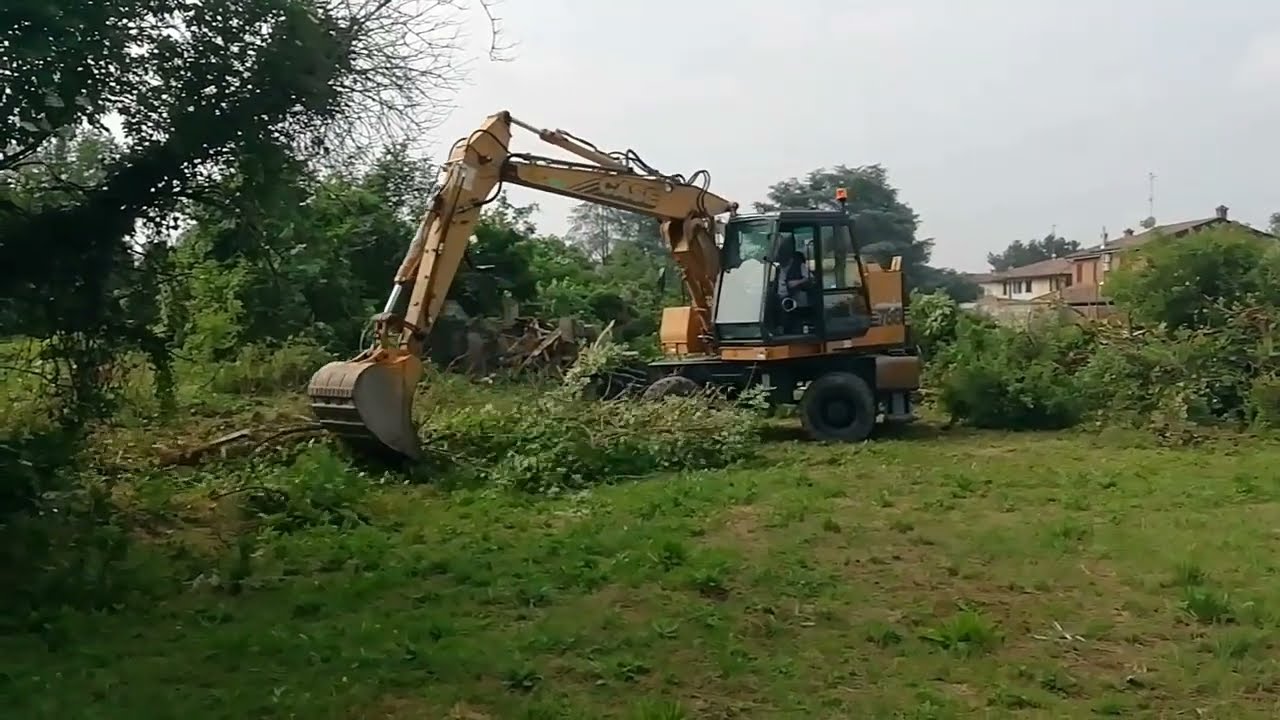 Disboscamento alberi con Escavatore gommato CASE 788 🌲🌳🪵🚜
