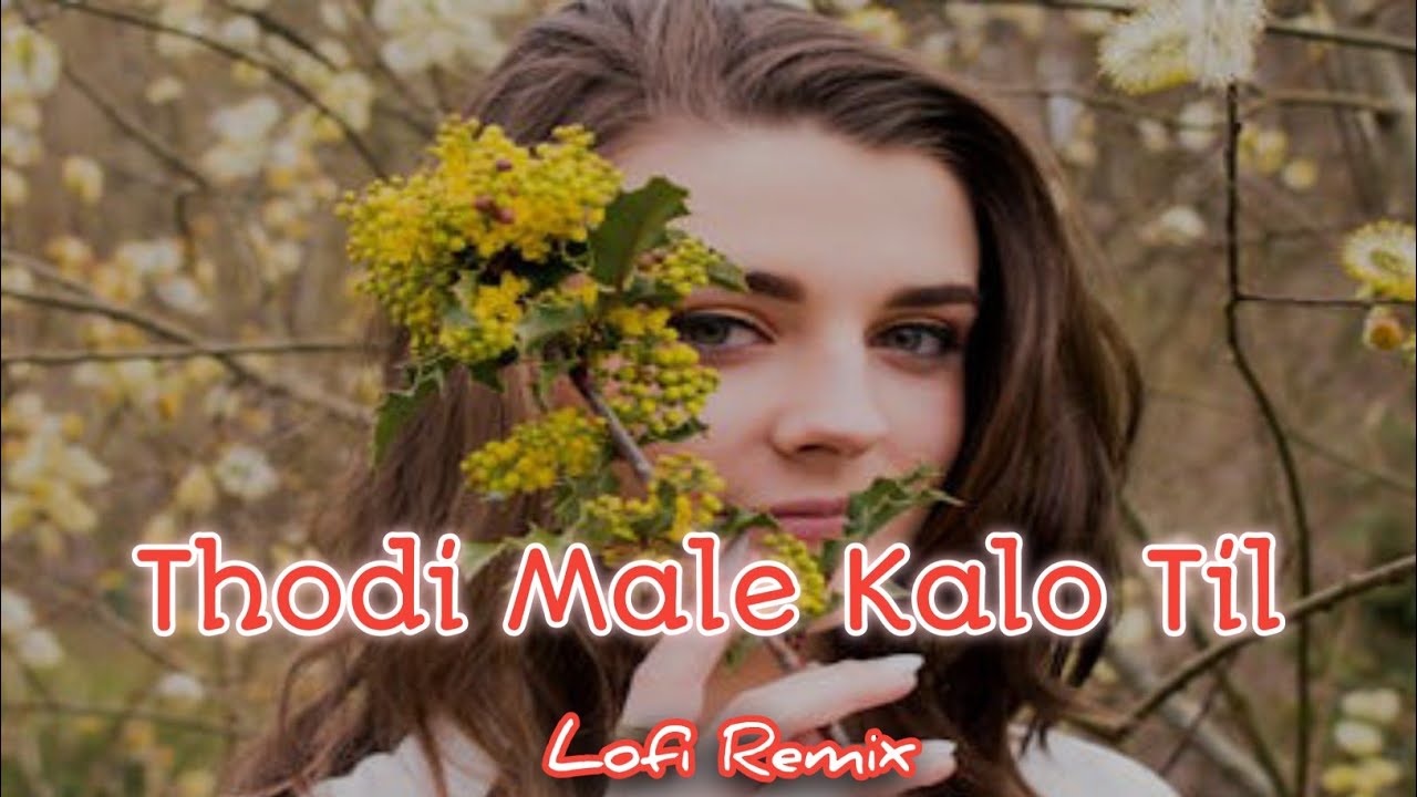 Thodi Mal Kalo Til Dj Remix Lofi || Aav Phone Band Number Leja Dusra || New Rajasthani Slowed Song