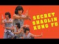 Wu Tang Collection Secret Shaolin Kung Fu English Dub Wu Tang Collection Secret Shaolin Kung Fu English Dub
