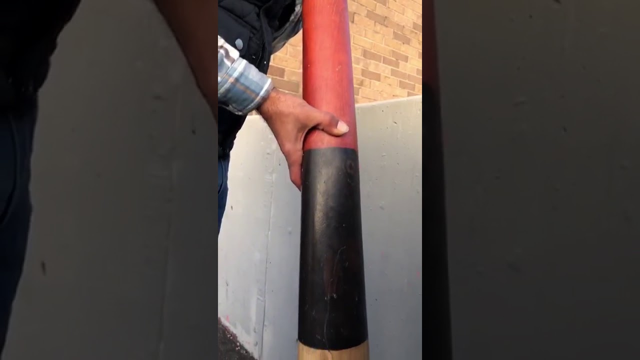 Pigeon flying rhythm with yidaki aka didgeridoo