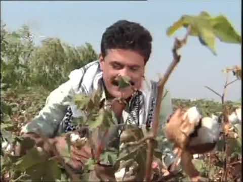 ياشويكي روح جاي عطشان اسقيني ماي جبر الكامل يقطف مواسم القطن