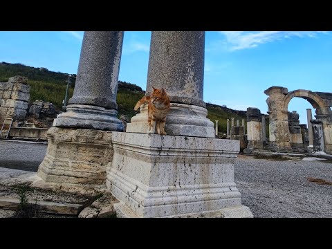 Видео: Античный город Перге / Анталья, раскопки в Турции
