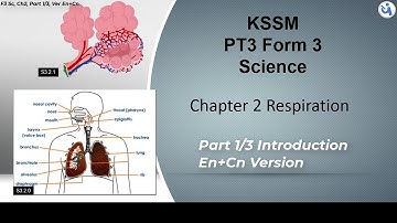 #PT3 #KSSM #Science | Form 3 | Chapter 2 |  Respiration | Part 1/3, Eng + 中文