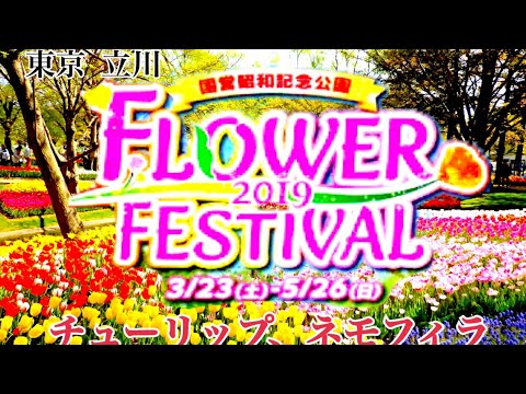 フラワーフェスティバル19 国営昭和記念公園 Youtube フラワーフェスティバル19 国営昭和記念公園 Youtube