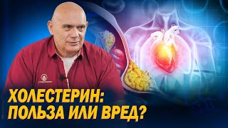 Как связаны скорость кровотока и уровень холестерина в организме? Вся правда о холестерине