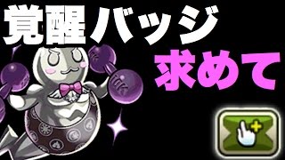 今更、月曜ダンジョンを初クリアする【パズドラ】