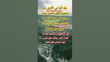 سورة لقمان الاية 27 #allah #اكسبلور #المصحف #تيك_توك #god #لايك #حالات_واتس #quran #ترند #الله #like
