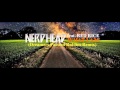 NERDHEAD ft. RED RICE - What I Am (Dreamers Passion Riddim Remix) - DJ SGR Blend
