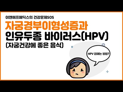 자궁경부이형성증과 인유두종 바이러스(HPV)의 모든 것! 자궁건강에 좋은 음식까지!