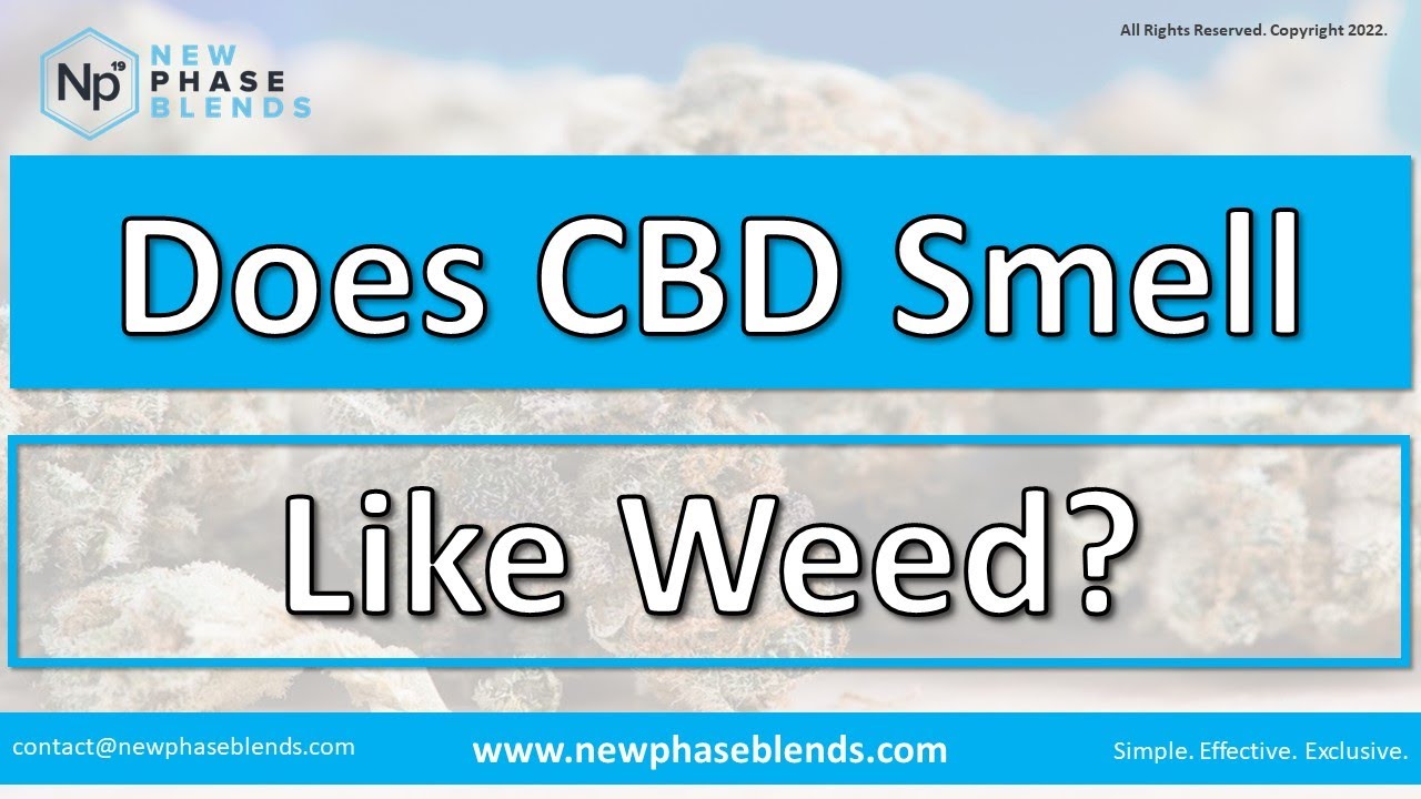 Does CBD Smell Like Weed? What Does It Smell Like? YouTube