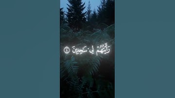 قران كريم-إِذْ قَالَ يُوسُفُ#قرآن #yasseraldossary #quran #قران_كريم #لايك #اكسبلور #تلاوة_خاشعة