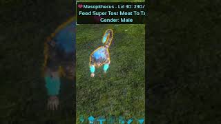 MESOPITHECUS Monkey jaman purba