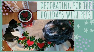 Decorating for Christmas with Pets by Caitlin G 14 views 4 months ago 10 minutes, 50 seconds