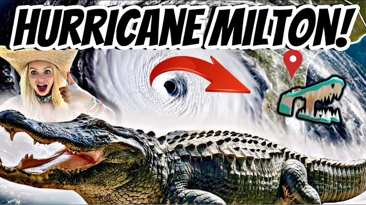 Hurricane Milton: Gatorland Faces A Powerful Hurricane & Tornadoes in Florida!