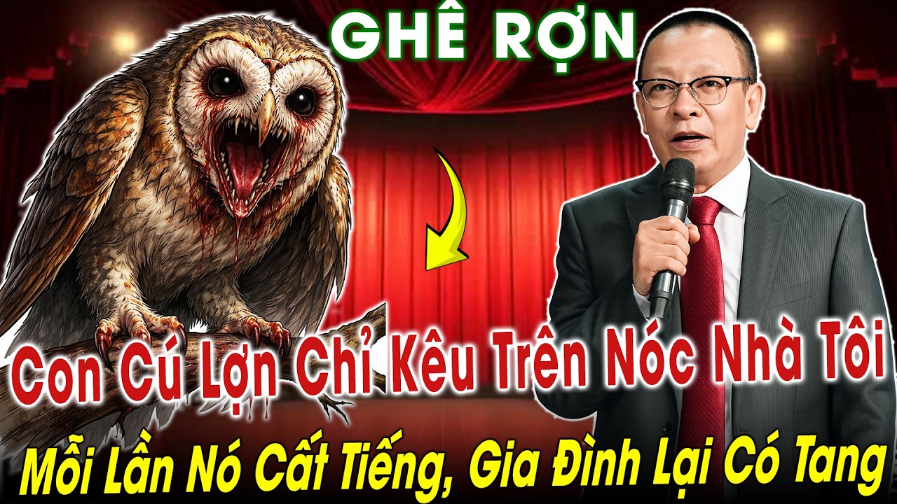 Tâm Sự Cùng Văn Sâm: Con Cú Lợn Chỉ Kêu Trên Nóc Nhà Tôi-Mỗi Lần Nó Cất Tiếng, Gia Đình Lại Có Tang!