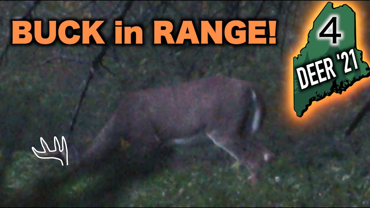 2021 MAINE Deer Hunting! | BUCK IN RANGE!