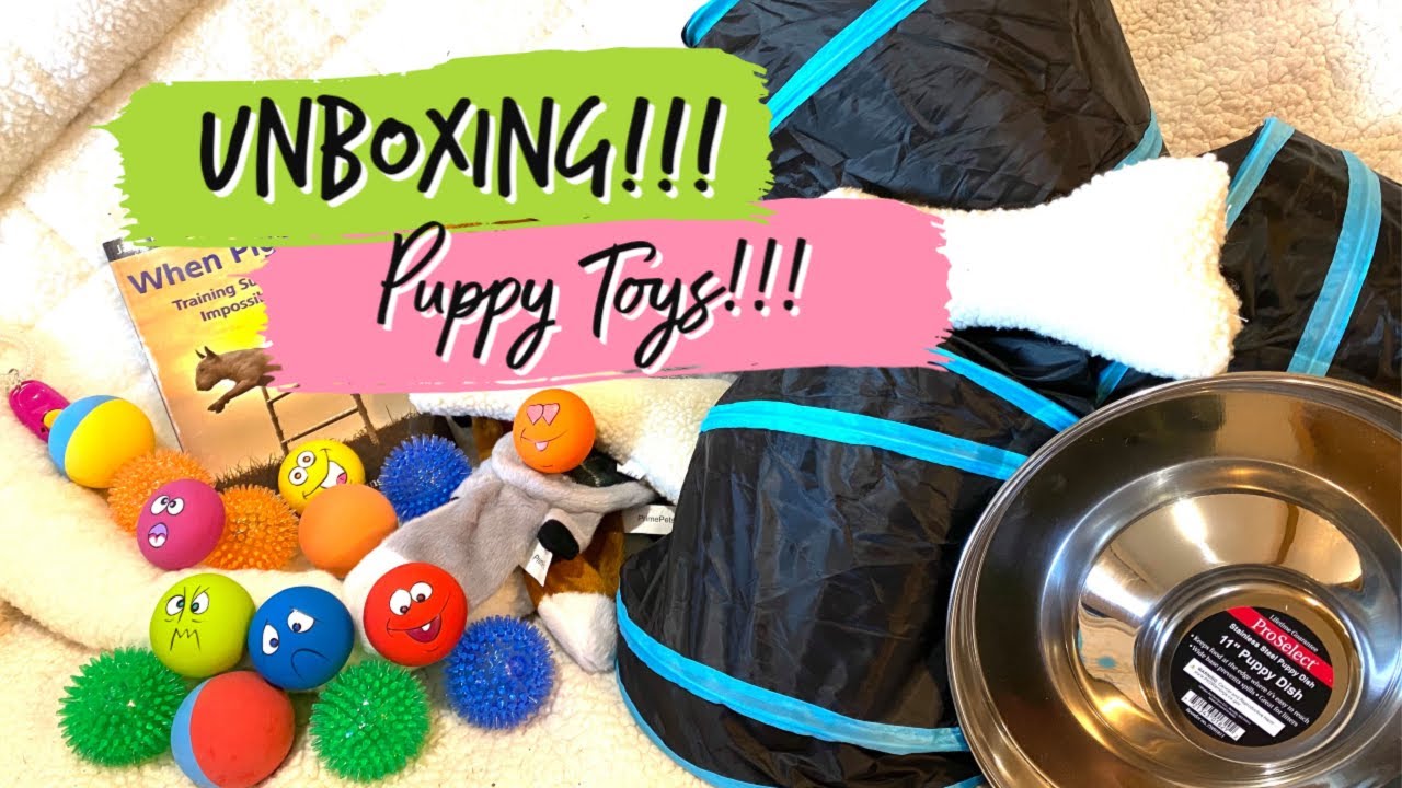 AMAZON UNBOXING Puppy Toys to Use with Puppy Culture And More