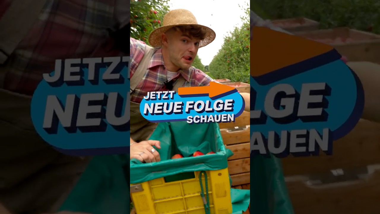 So LECKER sind KRUMME DINGER 🍏 🍎