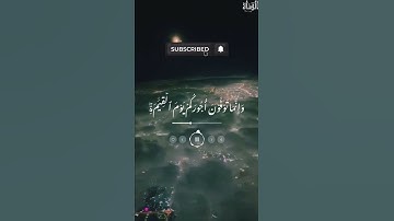 كل نفس ذائقة الموت  تلاوة مبكية للقارئ محمد