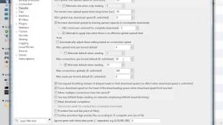 How to Speed up Vuze torrents by tweaking connection settings screenshot 5