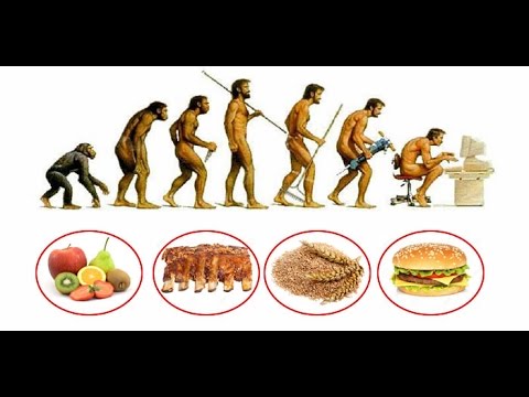 Video: Cosa significa fitness nell'evoluzione?