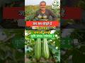 कृषि संवाद , लाखों कमाने का सीक्रेट #शॉर्ट्स #shorts #agriculture #kisan #farmer #farming #youtube