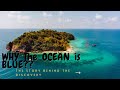 Why the Ocean Is Blue?: The Story Behind the Discovery