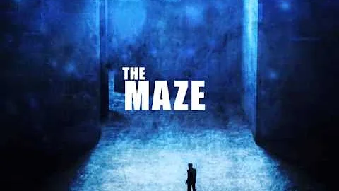 The Maze by Jason Brannon (official book trailer)