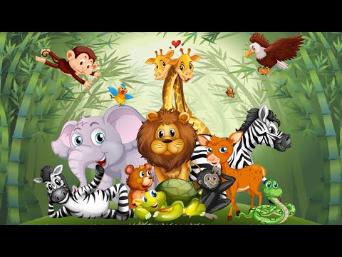 Animal cartoon | kids learn about animal | animal funny | lion monkey tiger hippo gorilla bear panda